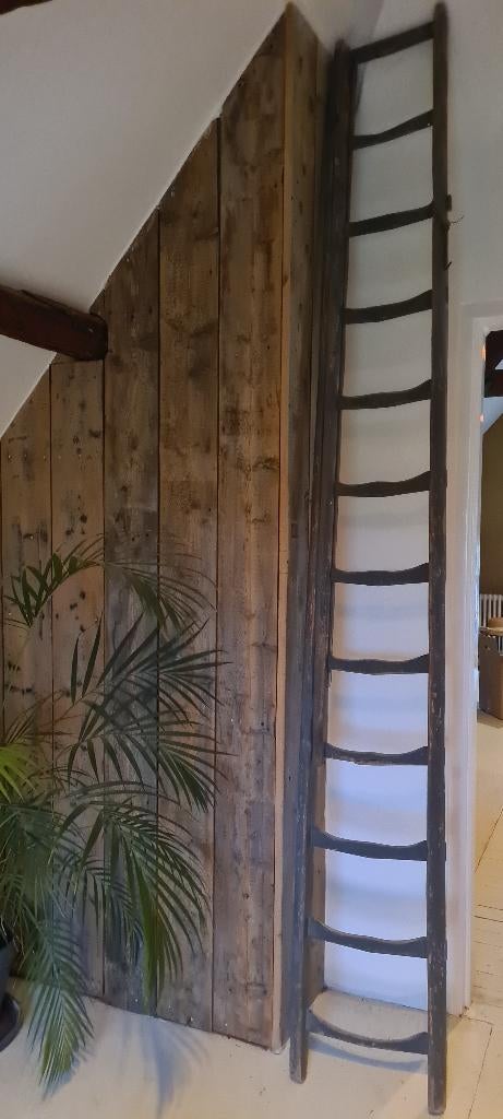 Ladder hout&oud&lang, Ophalen, Gebruikt