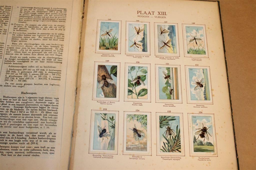 Baan\'s Album: Insecten [1915— Compleet Plaatjesalbum, Ophalen of Verzenden, Gelezen
