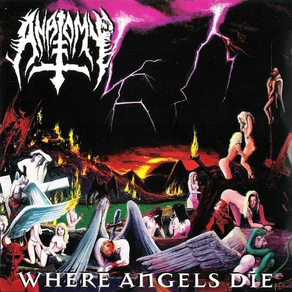 ANATOMY - where angels die CD, Cd's en Dvd's, Cd's | Hardrock en Metal, Gebruikt, Ophalen of Verzenden