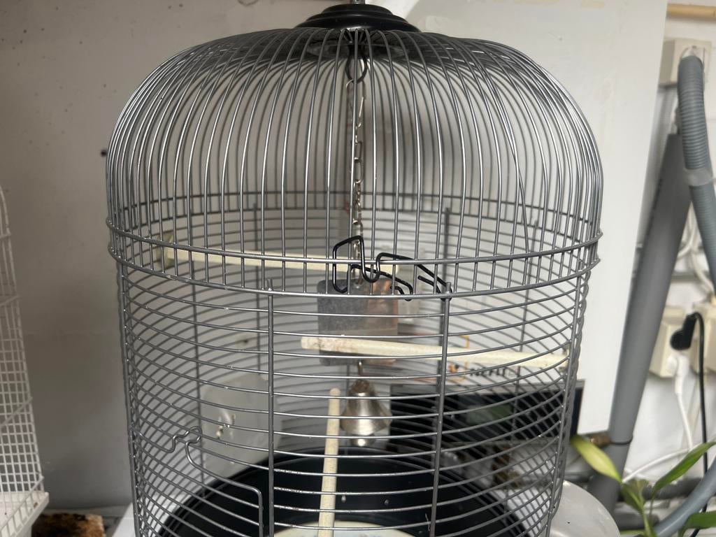 Kooi, Dieren en Toebehoren, Ophalen of Verzenden, Gebruikt, Metaal, Vogelkooi