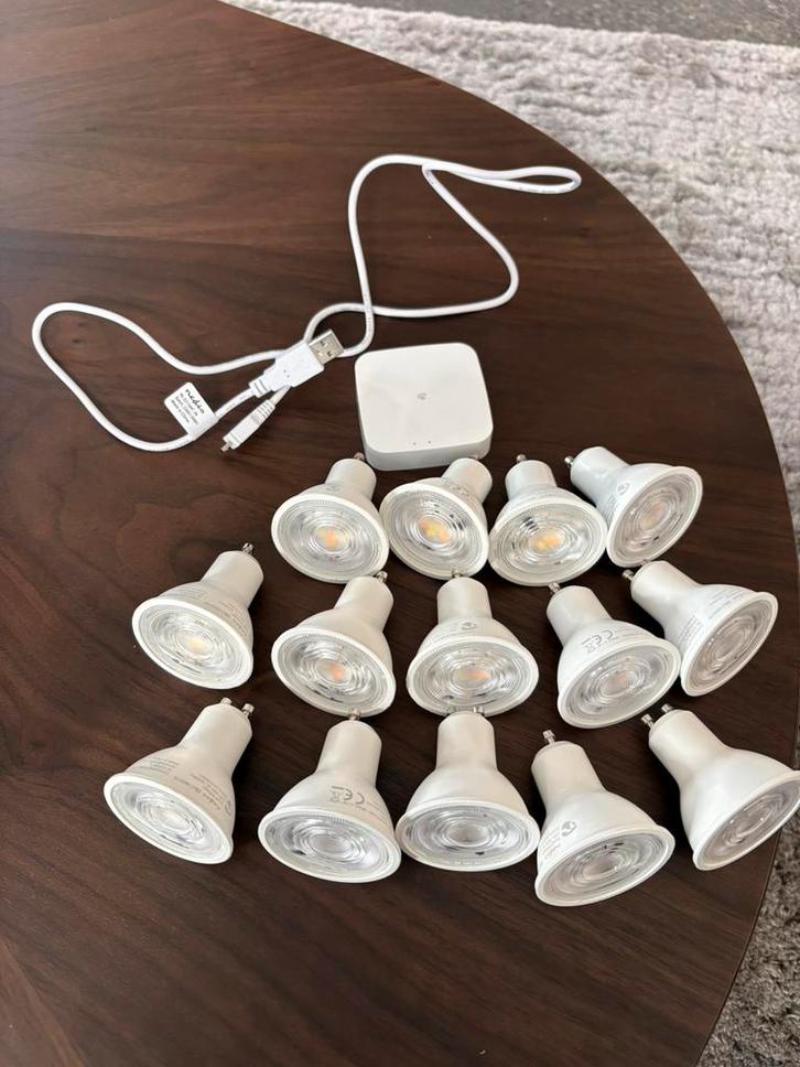 Zigbee verlichting plus Zigbee Hub, Huis en Inrichting, Overige Huis en Inrichting, Nieuw, Ophalen of Verzenden