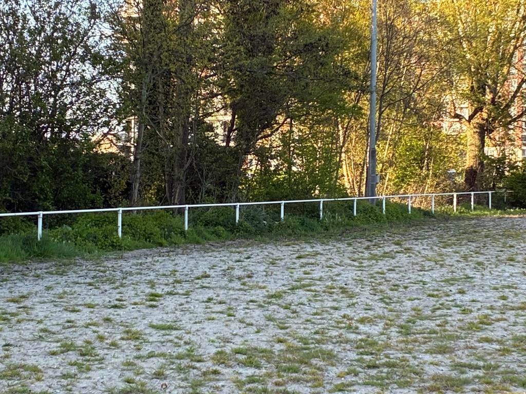 320 m. Omheining in prima staat., Ophalen, Gebruikt, IJzer, Tuinhek