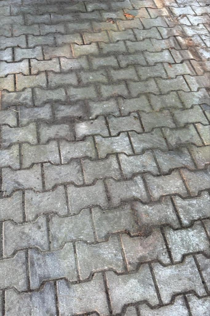 Maandag leverbaar H profiel 600 m2! 8 cm dik, Ophalen of Verzenden, Beton, Klinkers