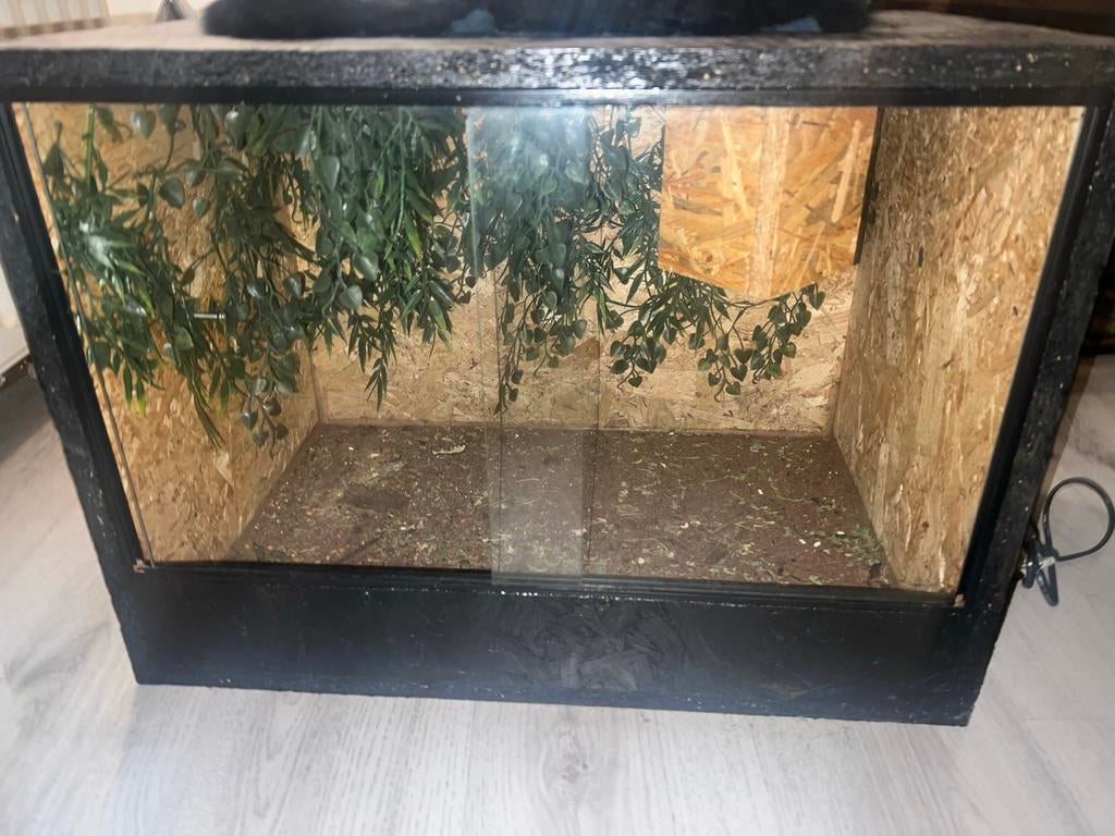 Terrarium, Dieren en Toebehoren, Reptielen en Amfibieën | Toebehoren, Ophalen, Zo goed als nieuw
