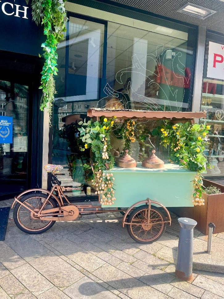 Ijswagen, Fietsen en Brommers, Fietsen | Bakfietsen, Gebruikt, Overige merken, Goederen, Ophalen