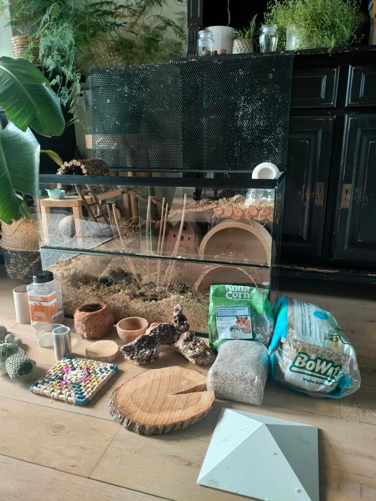 Hamsterscaping knaagdierkooi terrarium 80x40x52 cm, Kooi, Gebruikt, Muis, 75 tot 110 cm