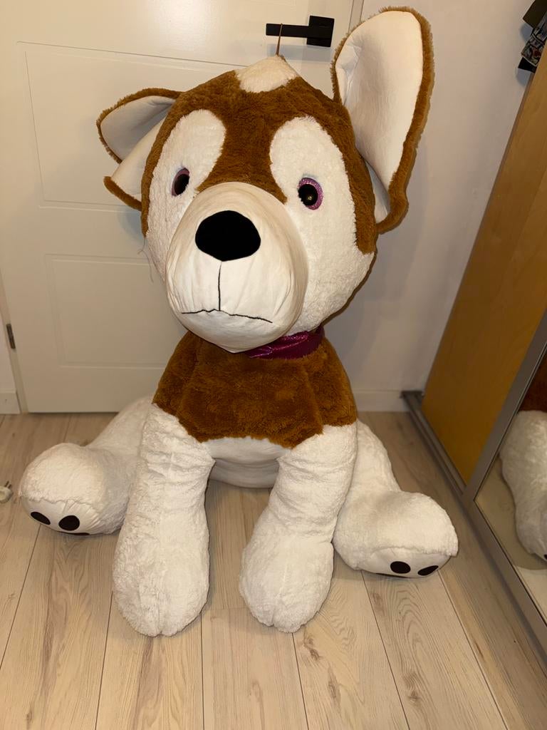 Xxl honden knuffel, Ophalen