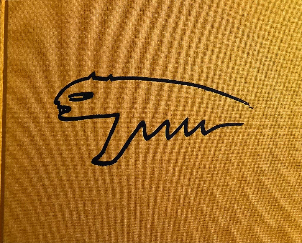 Jörg Remé. Het bewustzijn van Italië, Ophalen of Verzenden, Zo goed als nieuw, Maarten Ascher, Schilder- en Tekenkunst