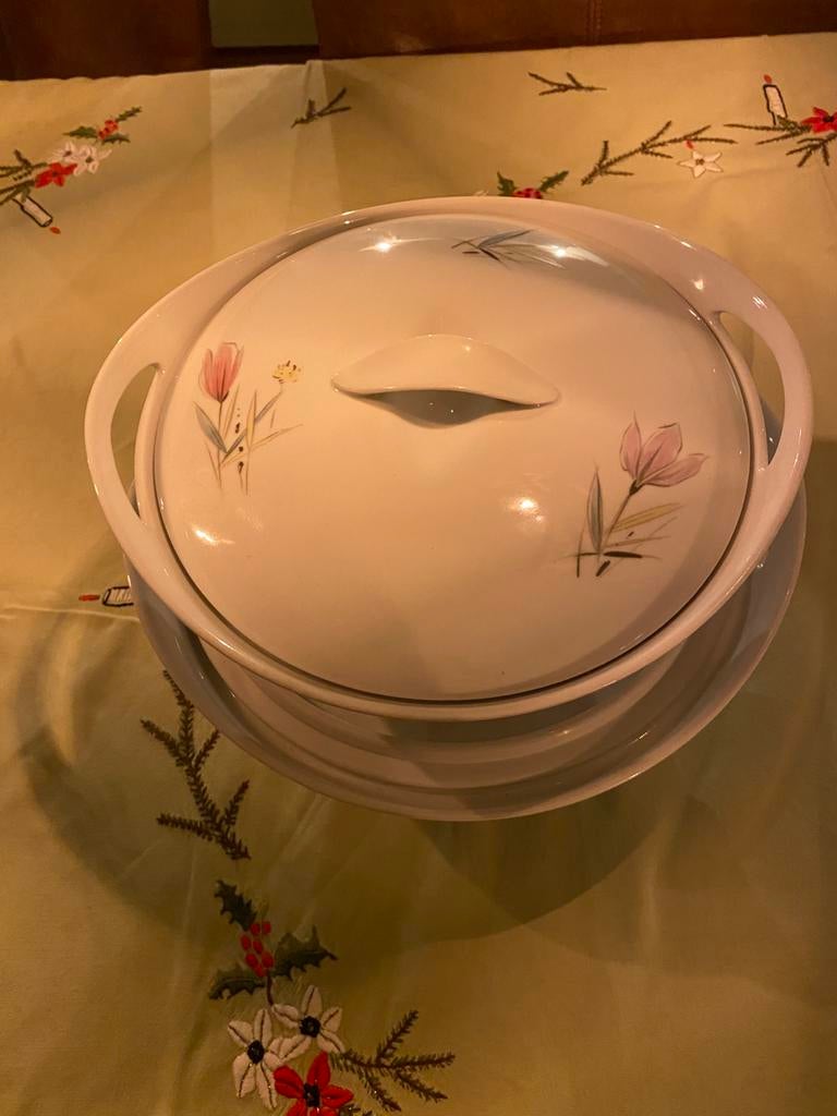 Eschenbach Bavaria Germany soepterrine en dekschaal, Antiek en Kunst, Ophalen of Verzenden