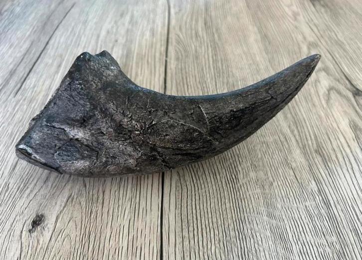 Trex voetklauw replica, Verzamelen, Mineralen en Fossielen, Ophalen of Verzenden