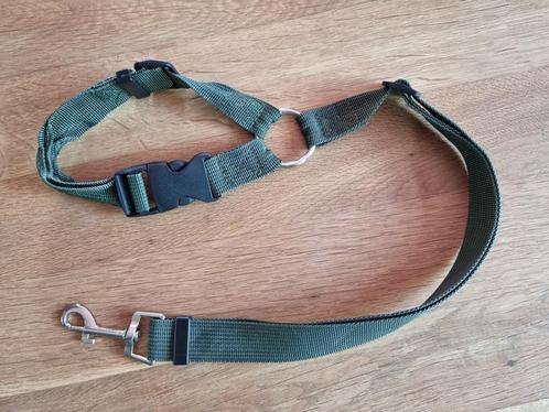 Honden auto riem (groen) nieuw [Z.S.M. OPHALEN], Dieren en Toebehoren, Hondenriemen, Nieuw, Hondenriem, Ophalen of Verzenden