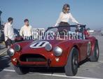 AC Cobra  Shelby Cobra  Jopp  12H Sebring  1963 foto, Verzenden, Nieuw, Auto's