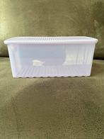 Tupperware Vershouddoos, Ophalen, Zo goed als nieuw, Paars, Bak of Kom