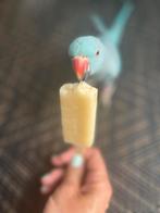 Halsband Parkiet - Moon, Dieren en Toebehoren