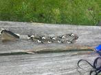 Hobby horse tuig en deken, Ophalen of Verzenden, Gebruikt