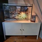 Terrarium met benodigdheden, Dieren en Toebehoren, Ophalen