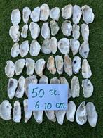 50 oesterschelpen L 6-10 cm, Ophalen of Verzenden, Zo goed als nieuw, Materiaal