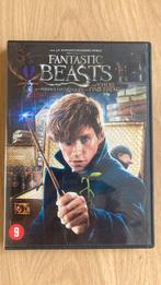 🎁 tip: Fantastic Beasts - And Where To Find Them - DVD, Zo goed als nieuw, Vanaf 9 jaar, Ophalen