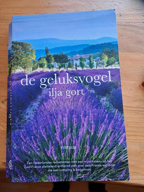 Ilja Gort - De geluksvogel, Boeken, Literatuur, Zo goed als nieuw, Nederland, Ophalen of Verzenden