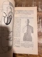 Leerboek der dierkunde, IA De Mens - De Gaay/ Heidinga, Ophalen of Verzenden, Beta, Gelezen