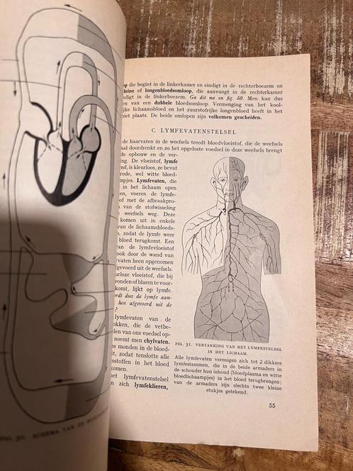 Leerboek der dierkunde, IA De Mens - De Gaay/ Heidinga, Boeken, Studieboeken en Cursussen, Gelezen, Beta, Ophalen of Verzenden