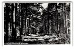 Winterswijk, In de Winterswijksche Bosschen, Verzenden, 1960 tot 1980, Ongelopen, Gelderland
