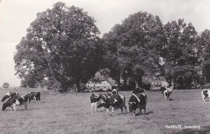 16961 Boerderij Havelte Drenthe oude kaart 1976, Verzamelen, Ansichtkaarten | Nederland, Gelopen, Drenthe, 1960 tot 1980, Verzenden