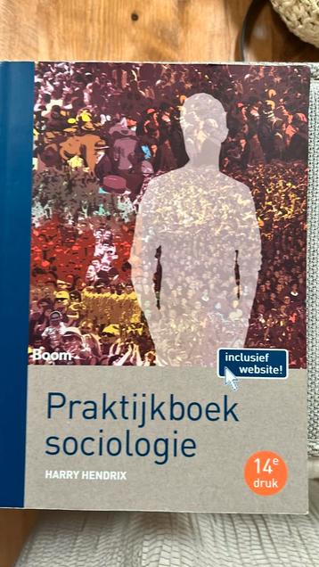 Harry Hendrix - Praktijkboek sociologie beschikbaar voor biedingen