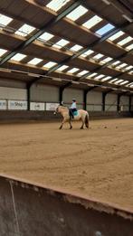 Verzorg pony gezocht omgeving Purmerend/beemster, Ophalen of Verzenden, Zo goed als nieuw