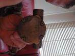 Johnson waterpomp, Watersport en Boten, Ophalen of Verzenden, Motor en Techniek
