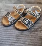 nieuw hush puppies maat 26, Ophalen of Verzenden, Nieuw, Meisje