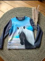 Paarden Sweater - Lange Mouwen, CoCo & TaTTa, Jongen of Meisje, Trui of Vest, Nieuw