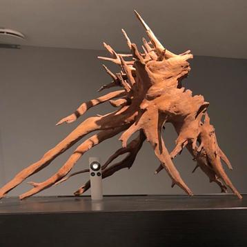 Uniek stuk Kienhout / Driftwood / Spiderwood, Hout Decoratie beschikbaar voor biedingen