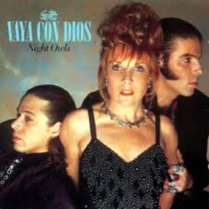 Vaya Con Dios, Cd's en Dvd's, Cd's | Pop, Gebruikt, Ophalen of Verzenden