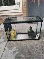 aquarium 40x20x25, Dieren en Toebehoren, Vissen | Aquaria en Toebehoren, Ophalen, Zo goed als nieuw, Overige typen