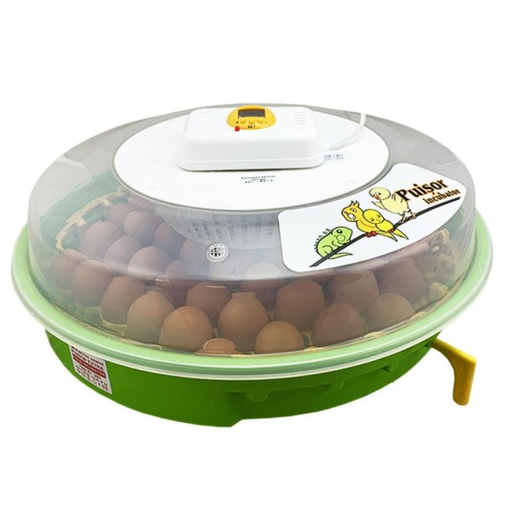 Puisor Exotic 203 broedmachine - keersleutel- Gratis eieren, Dieren en Toebehoren, Pluimvee | Toebehoren, Nieuw, Broedmachine