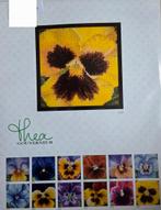 Compleet borduurpakket - Viooltje, Hobby en Vrije tijd, Borduren en Borduurmachines, Ophalen of Verzenden, Nieuw, Handborduren