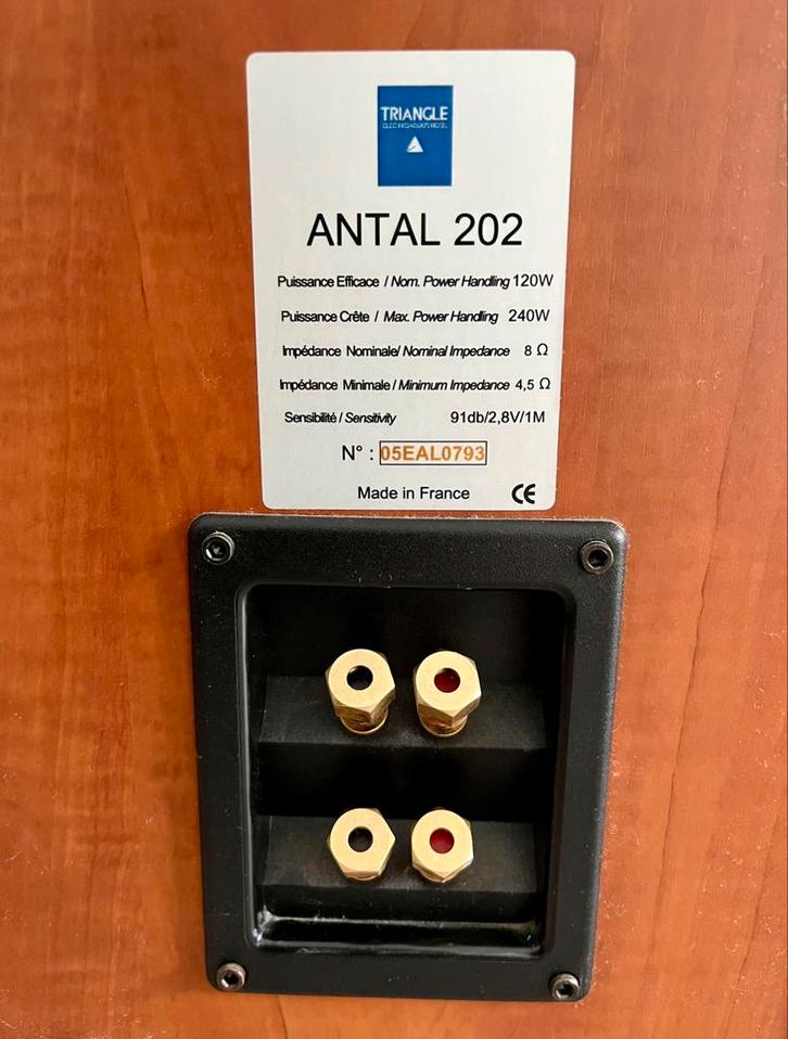 Triangle Antal 202 speakers + Mosscade Titan 11.4 subwoofer, Audio, Tv en Foto, Luidsprekers, Zo goed als nieuw, Subwoofer, 120 watt of meer