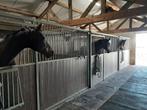 Stalling beschikbaar voor sociaal paard Nieuwleusen, Stalling, 1 paard of pony