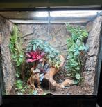 Exo terra terrarium 90 x 45 x90, Ophalen, Terrarium of Paludarium