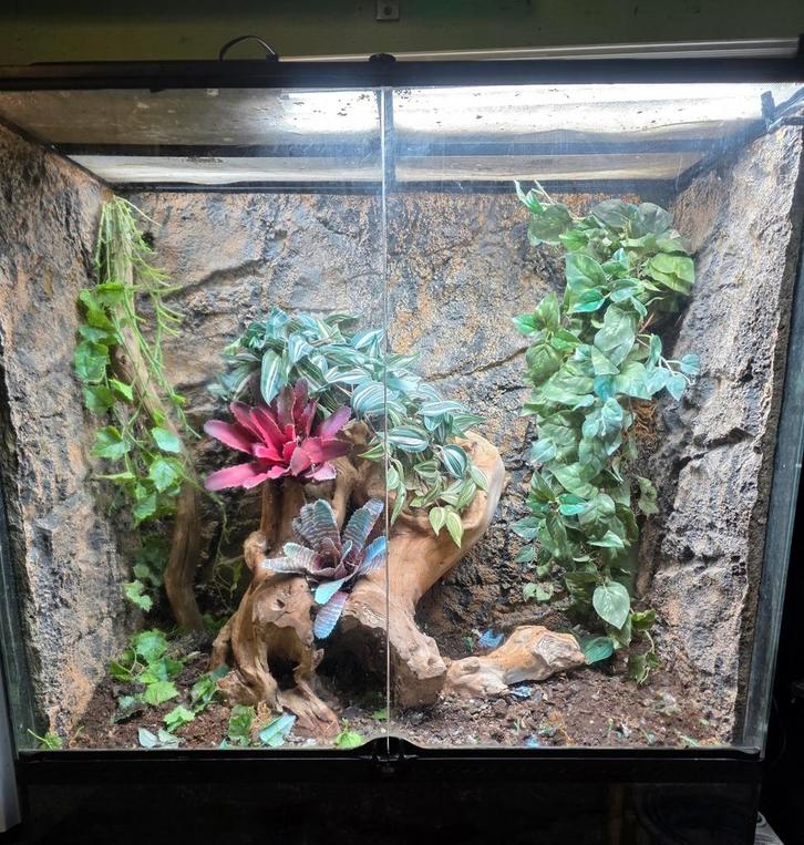 Exo terra terrarium 90 x 45 x90, Dieren en Toebehoren, Reptielen en Amfibieën | Toebehoren, Terrarium of Paludarium, Ophalen