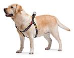 WAUDOG Nasa Harnas / Hondentuig Borstomtrek 50-80 cm KOOPJE!, Ophalen of Verzenden, Nieuw