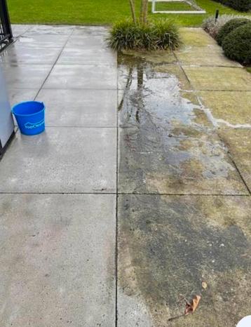 Tuin tegels schoonmaken tuin opruimen onkruid verwijderen  beschikbaar voor biedingen
