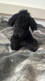 knuffel zwart poedel hond klein, Ophalen, Gebruikt, Hond