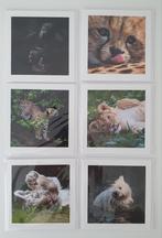 Set van 12 wenskaarten baby dieren en grote katachtigen, Ophalen of Verzenden, Nieuw