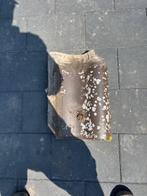 Vernieuwde geglazuurde oud hollandse dakpan, Ophalen, Gebruikt, Steen of Klei, 15 m² of meer