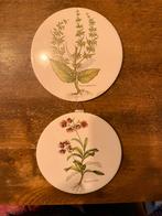 Tegels van h& r johnson ltd, Ophalen of Verzenden