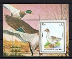 (VOGELS) Fujeira Mi. Blok 131A postfris, Postzegels en Munten, Postzegels | Thematische zegels, Ophalen of Verzenden, Postfris