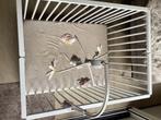 Baby mobiel voor boven bed of box met muziek, Kinderen en Baby's, Ophalen, Gebruikt, Mobiel, Met geluid