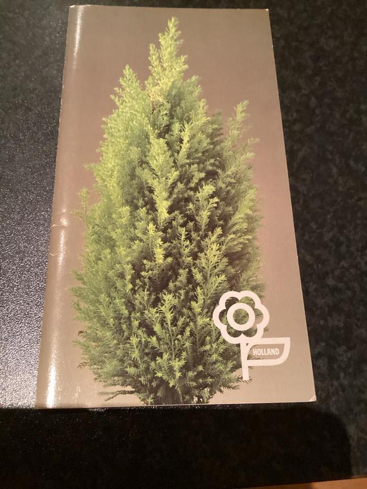 Plantenwijzer - Handige Gids voor Tuinplanten, Huis en Inrichting, Kamerplanten, Overige soorten, Minder dan 100 cm, Halfschaduw